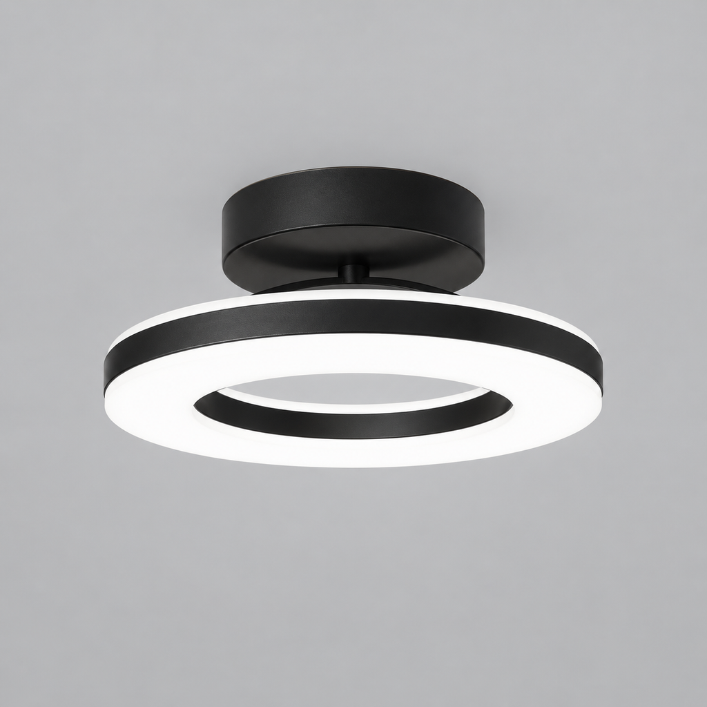 Modern Acrylic Round LED Ceiling Light for Hallways & Entryways