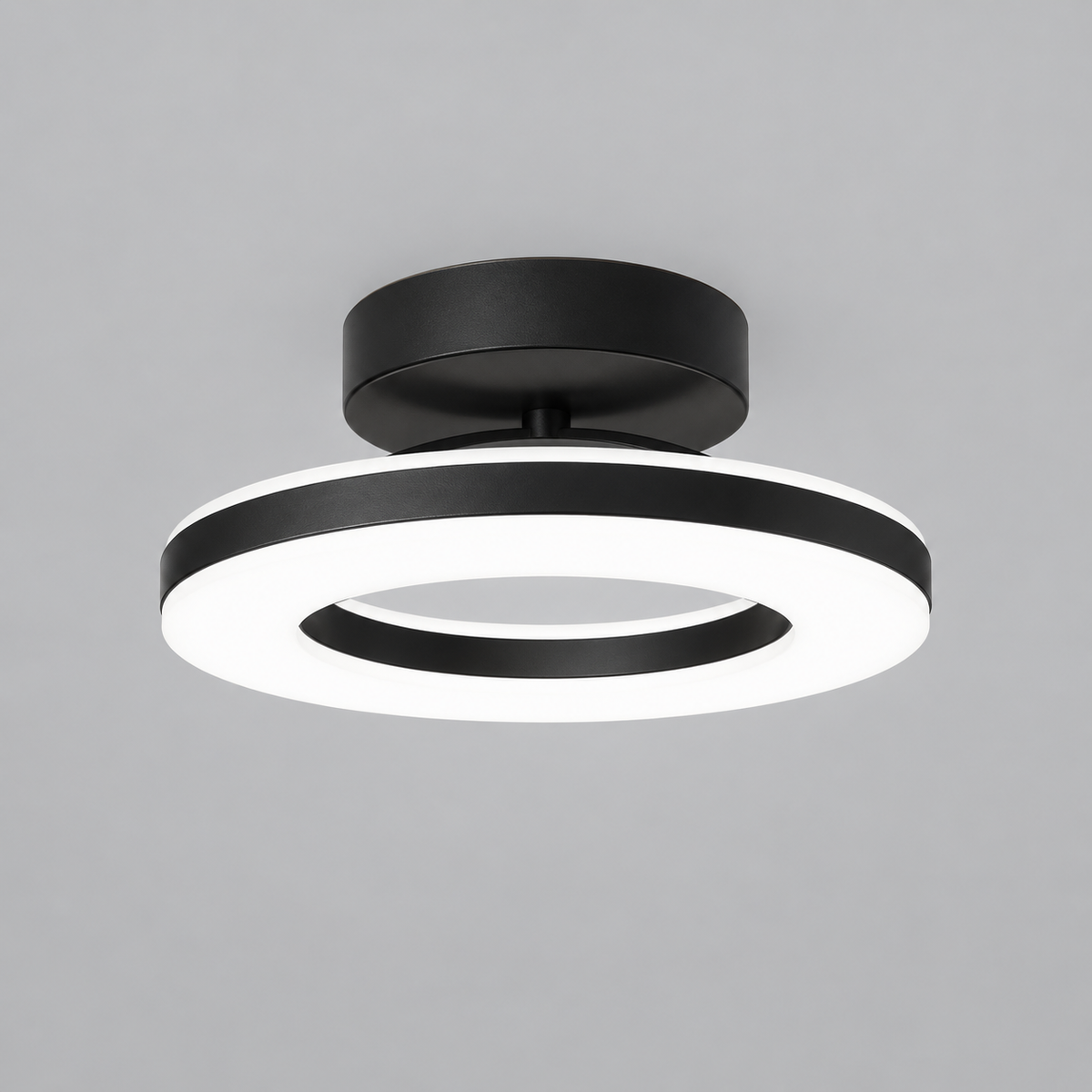 Modern Acrylic Round LED Ceiling Light for Hallways & Entryways